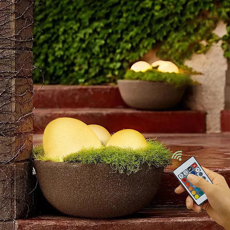 Pavélia™ – Éclairez votre jardin avec élégance naturelle