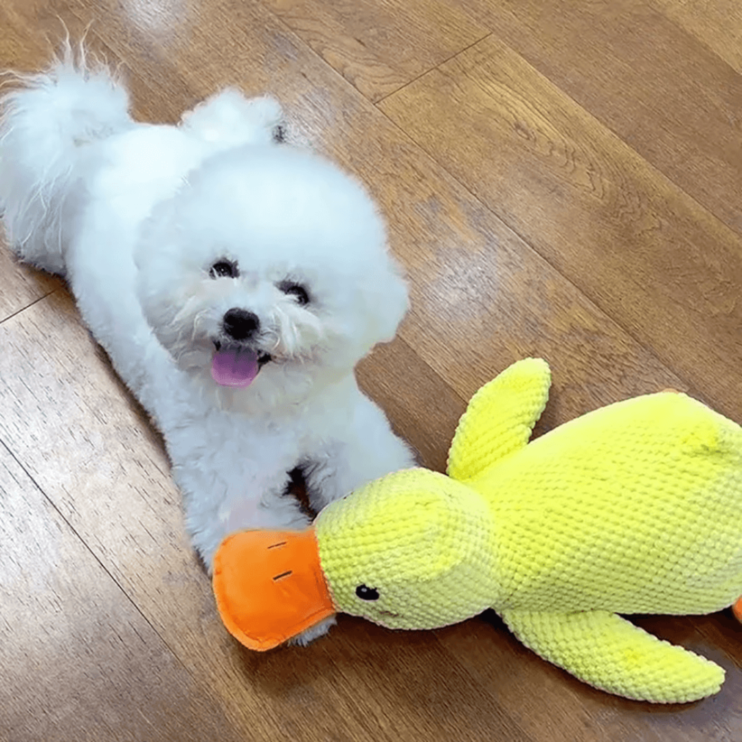 Coincoin Fluff™ | Canard apaisant pour chien