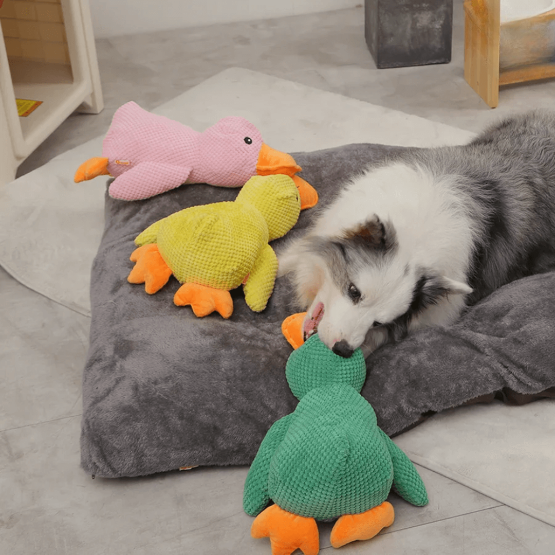 Coincoin Fluff™ | Canard apaisant pour chien