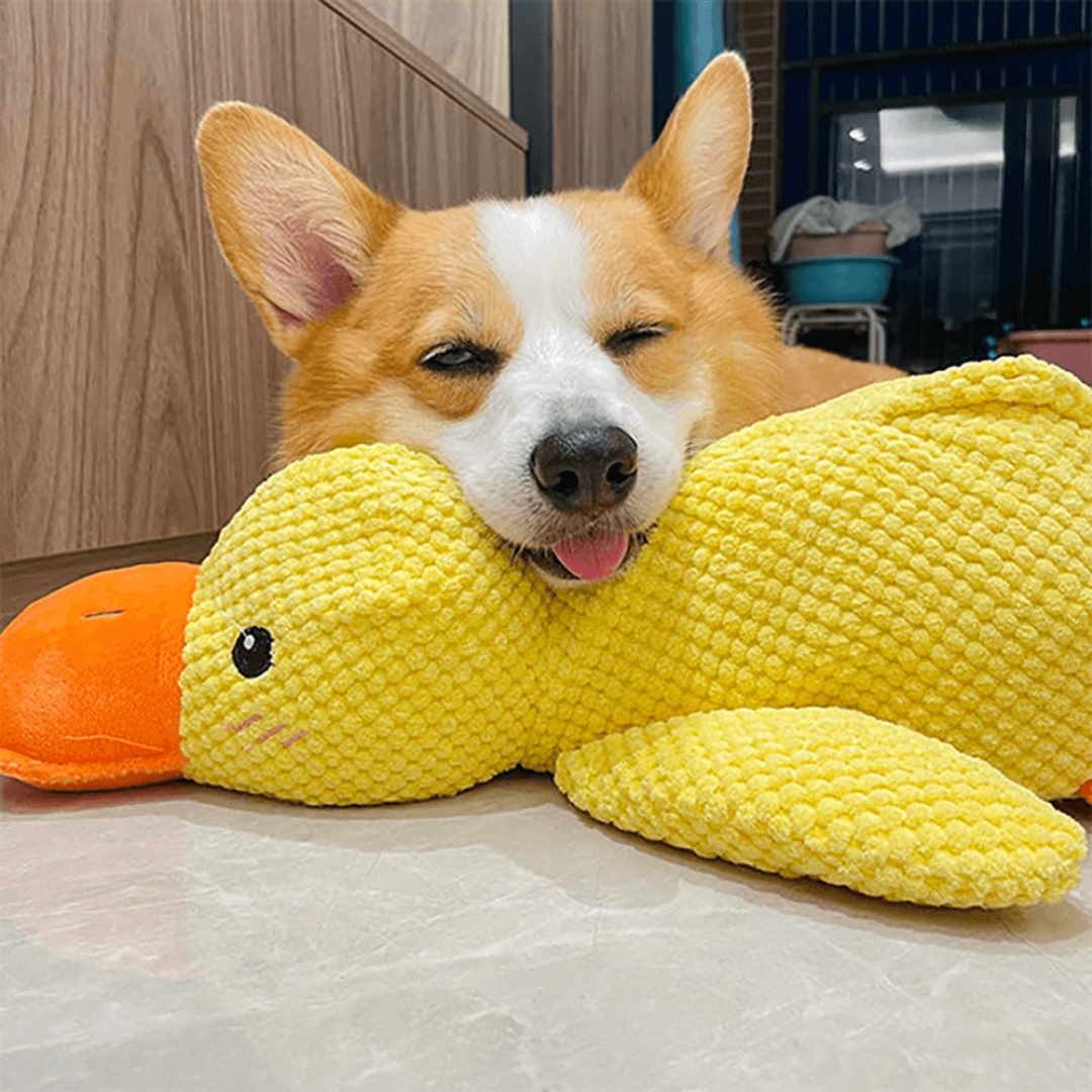 Coincoin Fluff™ | Canard apaisant pour chien