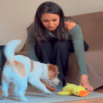Coincoin Fluff™ | Canard apaisant pour chien