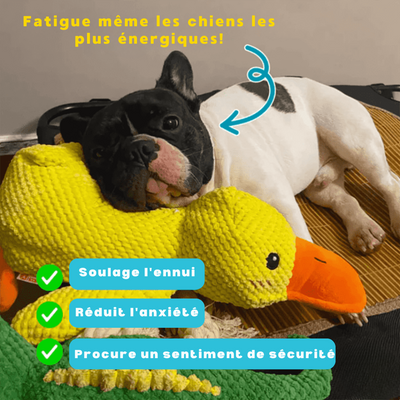 Coincoin Fluff™ | Canard apaisant pour chien