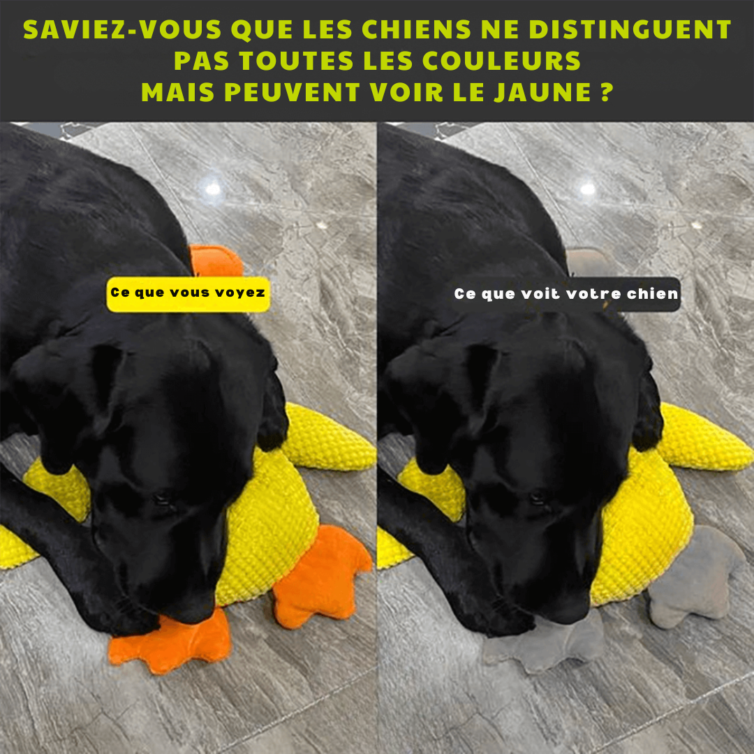 Coincoin Fluff™ | Canard apaisant pour chien