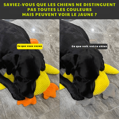 Coincoin Fluff™ | Canard apaisant pour chien
