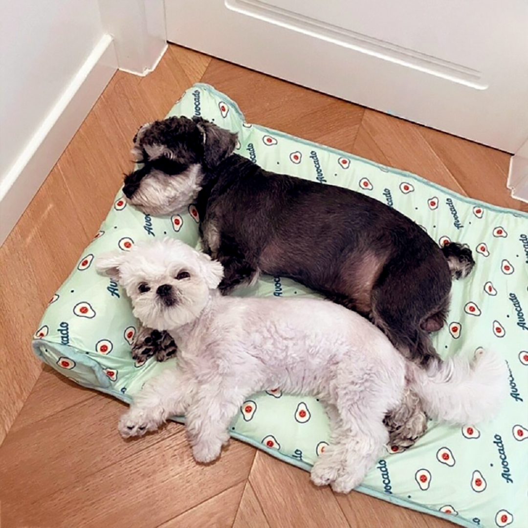 FeskoChill™ | Tapis rafraîchissant d’été pour chien