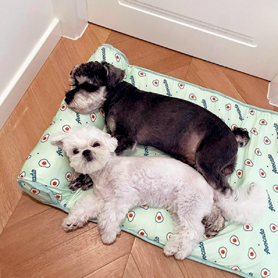 FeskoChill™ | Tapis rafraîchissant d’été pour chien